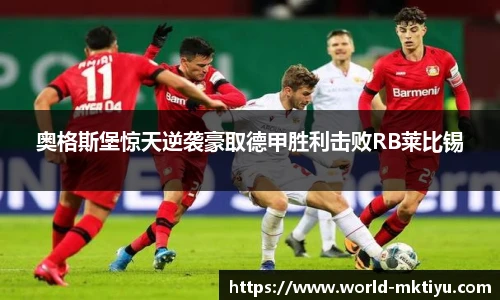 mk体育入口